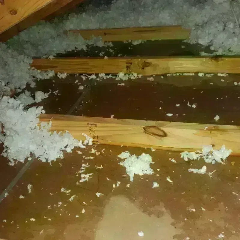 Attic Water Damage in Lake Panorama, IA