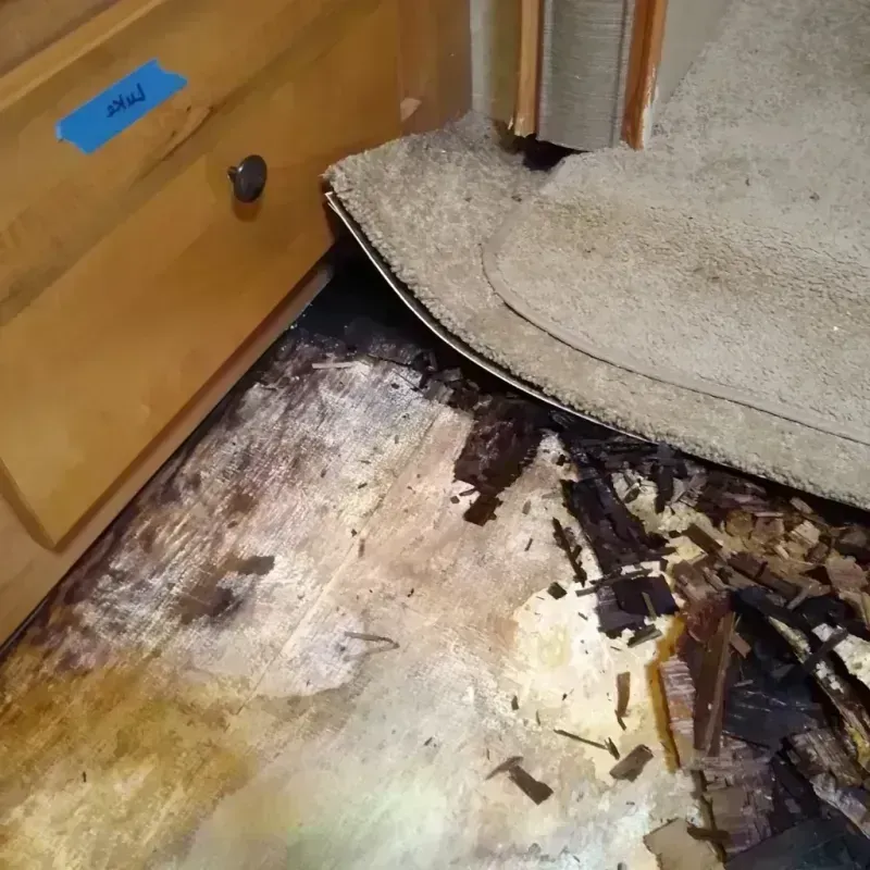 Best Wood Floor Water Damage Service in Lake Panorama, IA